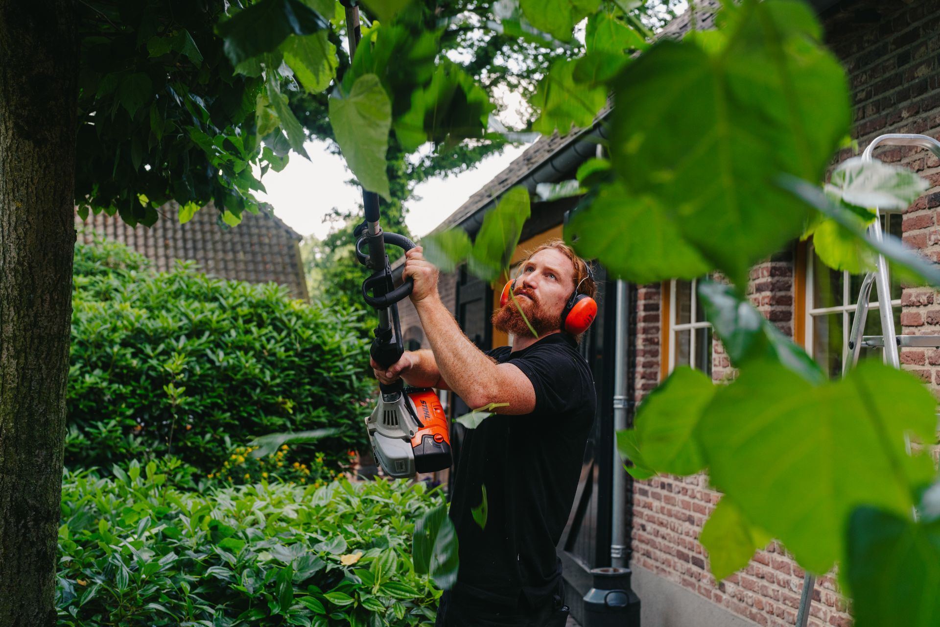 Bomen bijscheren