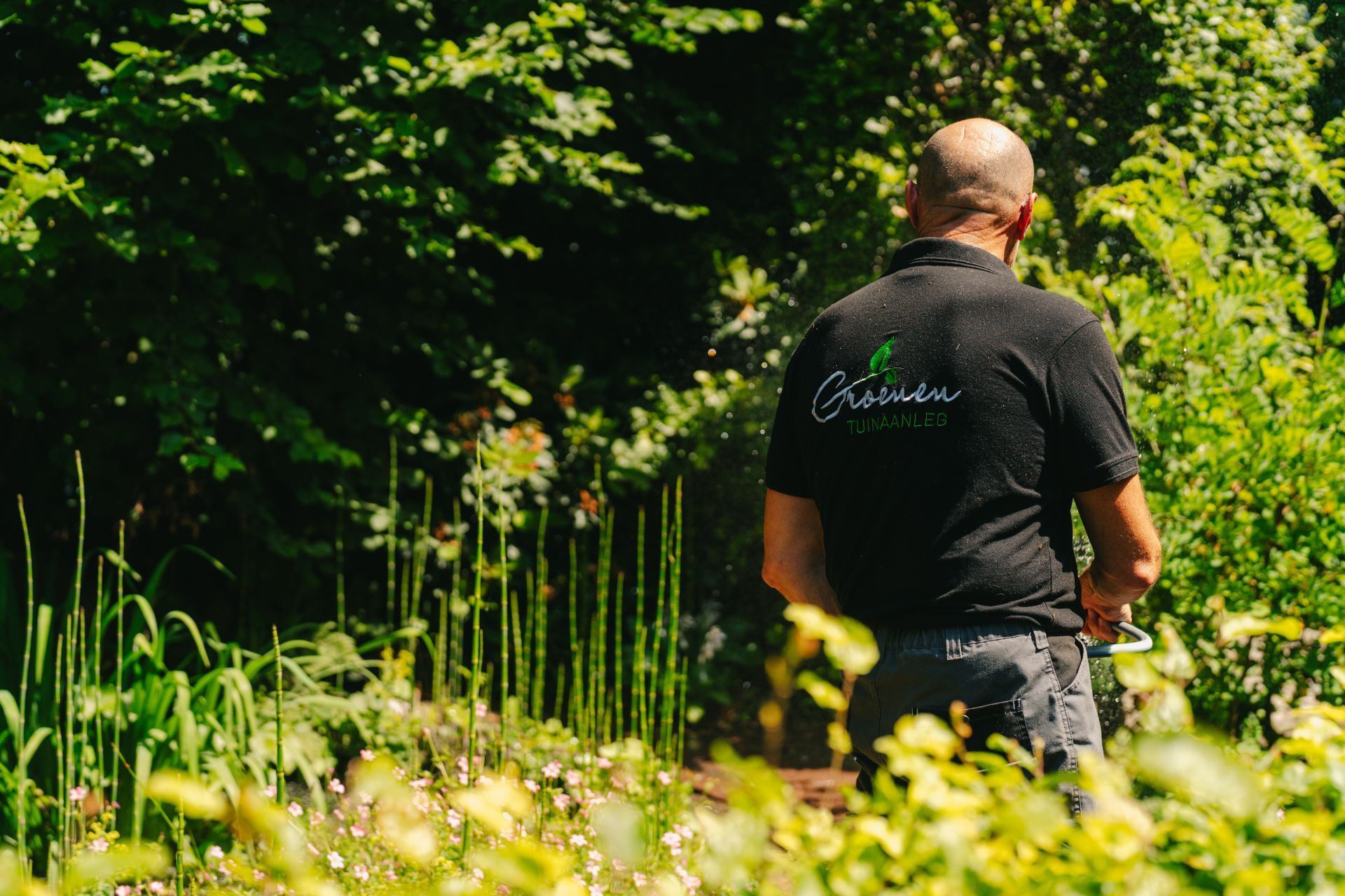 Bijsproeien van planten